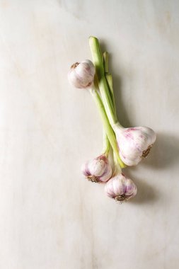 Genç bahçe sarımsak Demeti