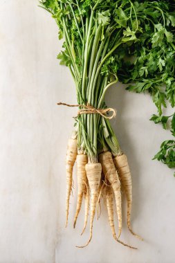 Genç bahçe pancarı demeti