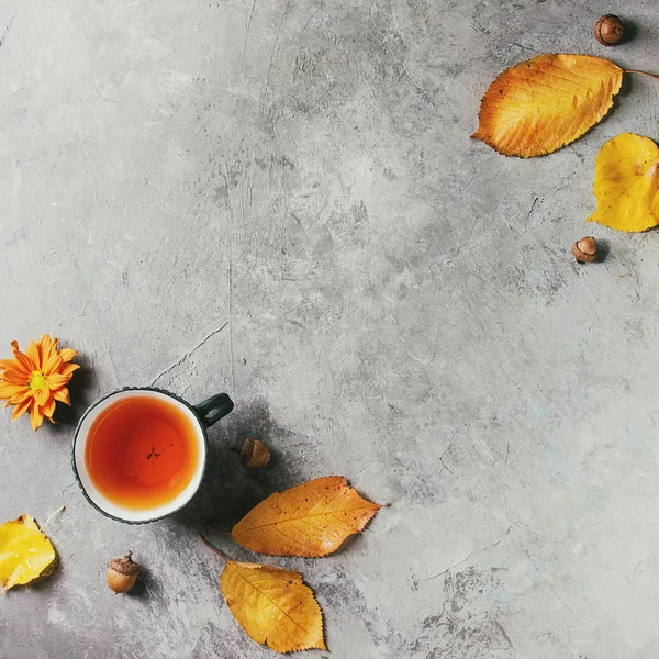 Secangkir teh dengan daun musim gugur — Stok Foto