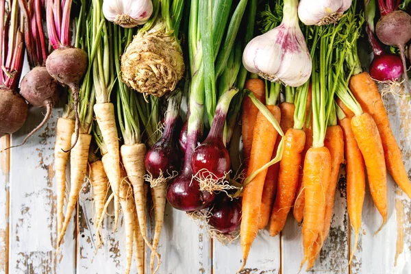 Variedade de verduras de raiz — Fotografia de Stock