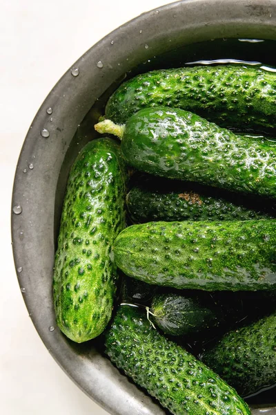 Fresh garden cucumbers — Stock Photo, Image