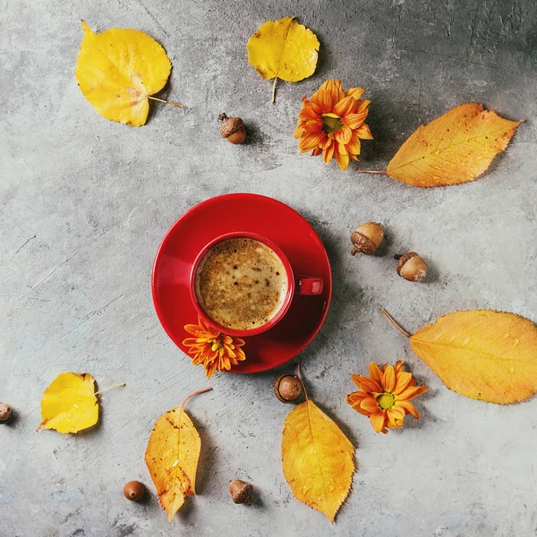 秋季杯咖啡 — 图库照片