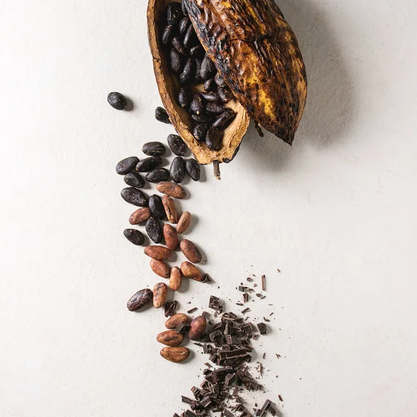 Variedad de granos de cacao — Foto de Stock