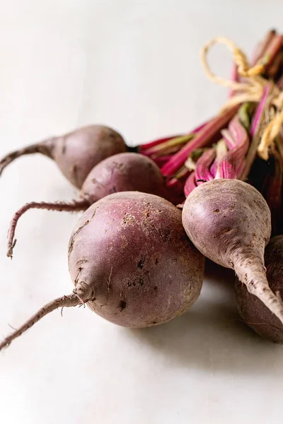 Pacchetto di barbabietola da giardino giovane — Foto Stock