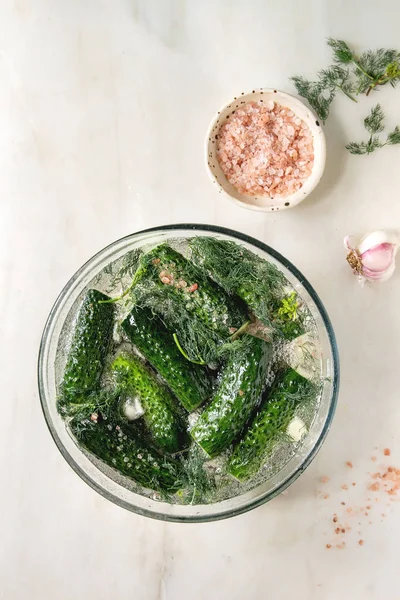 Gurken bereit für eingelegtes Gemüse — Stockfoto