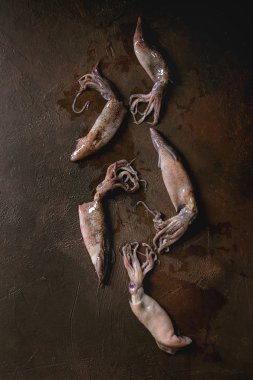 Ham Kalamarlar kalamar