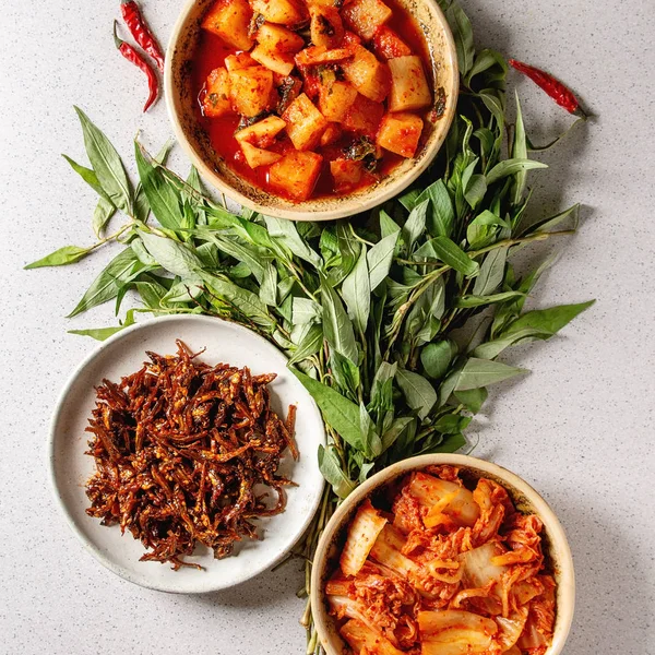 Apéritif coréen kimchi — Photo