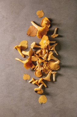 Orman Cantharellus cibarius mantar