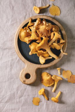 Orman Cantharellus cibarius mantar