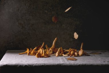 Orman Cantharellus cibarius mantar