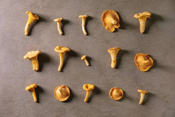 Forest chanterelle mushrooms — Stock Photo, Image