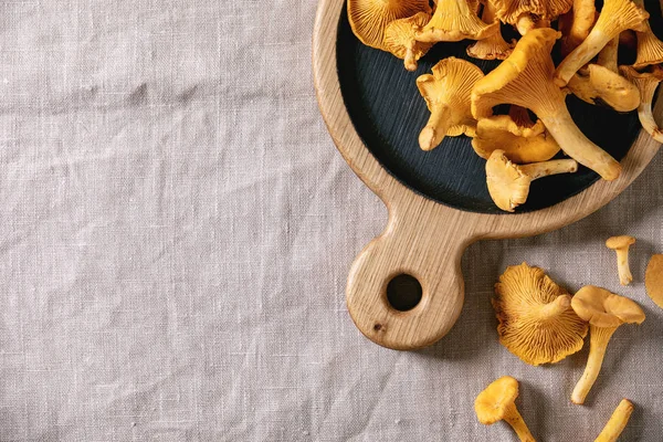 Forest chanterelle mushrooms — Stock Photo, Image