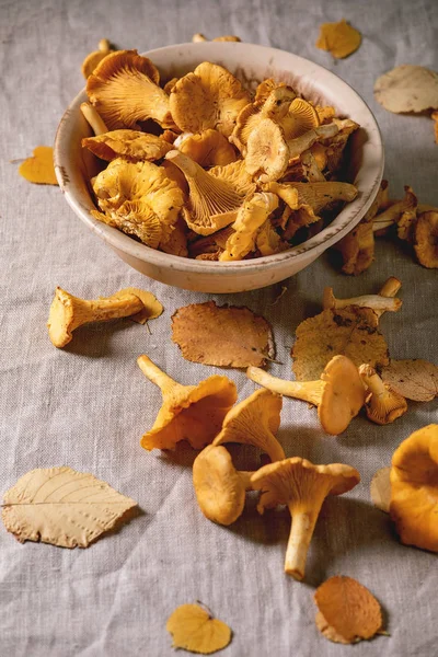 Champiñones cantarela del bosque — Foto de Stock