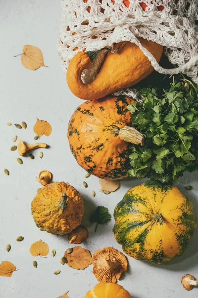 Verscheidenheid van kleurrijke pompoenen — Stockfoto