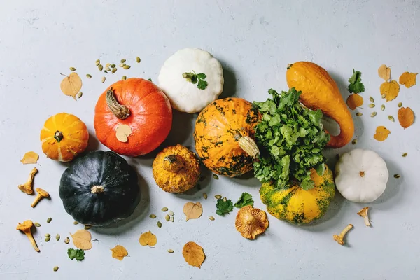 Variety of colorful pumpkins — Stock Photo, Image