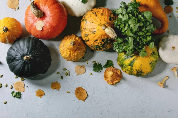 Variedad de calabazas de colores —  Fotos de Stock