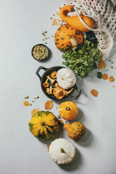 Verscheidenheid van kleurrijke pompoenen — Stockfoto