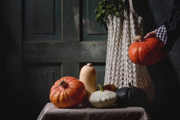 Variety of colorful pumpkins — Stock Photo, Image