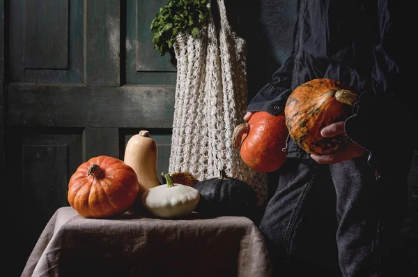 Variety of colorful pumpkins — Stock Photo, Image