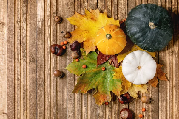 Variety of autumn leaves — Stock Photo, Image