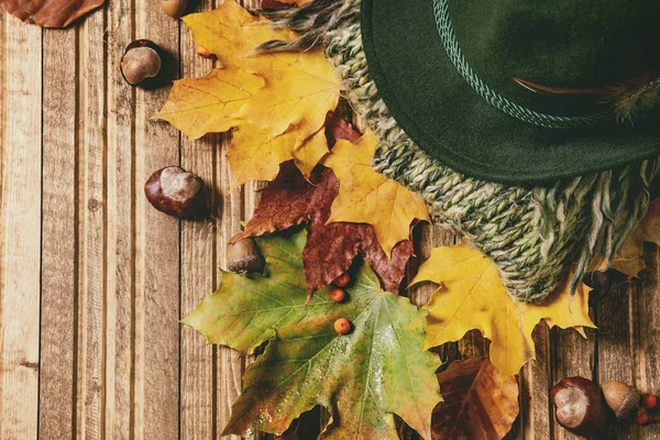 Vielfalt der Herbstblätter — Stockfoto