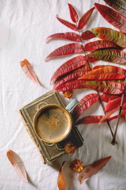 sonbahar yaprakları ile kahve