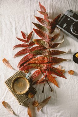 sonbahar yaprakları ile kahve