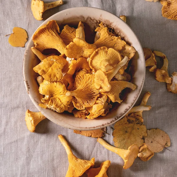 林冠蘑菇 生的未烹调的陶瓷碗 以黄色的秋天叶覆盖灰色亚麻布桌布为背景 平坦的地方 — 图库照片