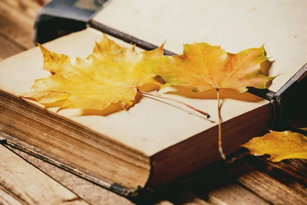 Libros Antiguos Época Variedad Hojas Rojas Amarillas Otoño Sobre Tabla — Foto de Stock