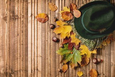 Ahşap arka planda kırmızı ve sarı sonbahar yaprakları ve kestaneler üzerine keçeli şapka ve örülmüş yeşil eşarp. Düz yatıyordu. Yaratıcı arkaplanı düşür.