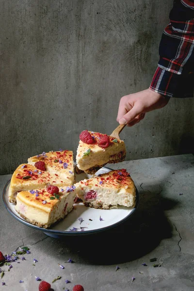 Man Hand Hold Piece Homemade Raspberry Baked Cheesecake Wooden Cake — Fotografia de Stock