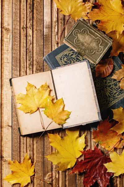 Old Vintage Books Variety Red Yellow Autumn Leaves Wooden Plank — Stock Photo, Image