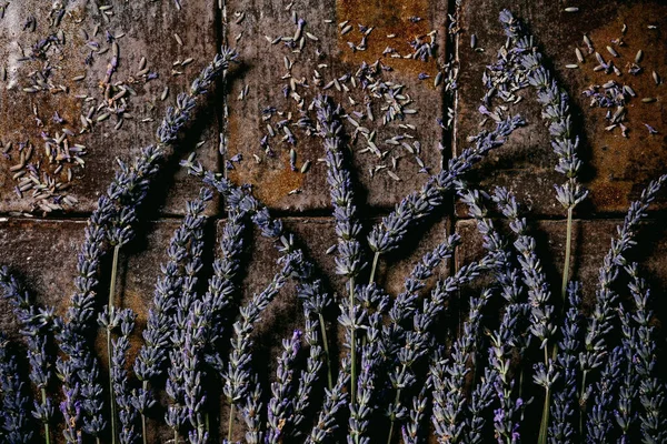 ダークブラウンのセラミックタイルの上に新鮮で乾燥したラベンダーの花 — ストック写真