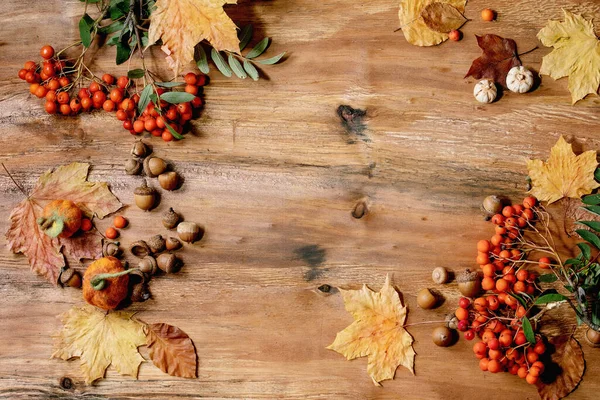 Sonbahar mevsimi kompozisyonu, sarı akçaağaç yaprakları, kızılcık, kestane ve ahşap desenli balkabakları. Düz yat, boşluğu kopyala