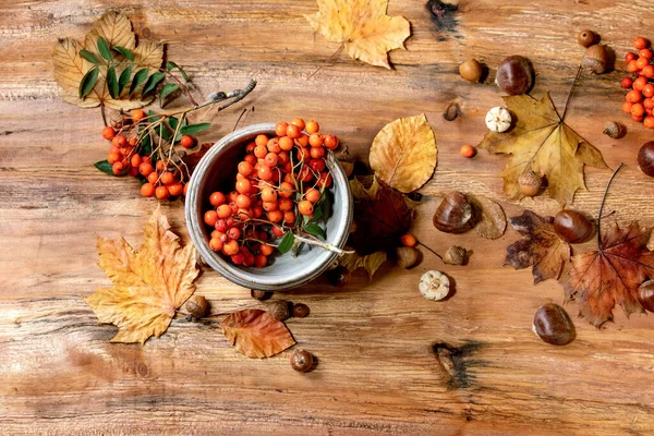 Herbst Saisonale Komposition Mit Keramikschalen Gelben Ahornblättern Vogelbeeren Kastanien Und — Stockfoto