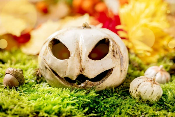 White Ceramic Halloween Jack Laterne Kürbisse Auf Moos Mit Herbstlichem — Stockfoto