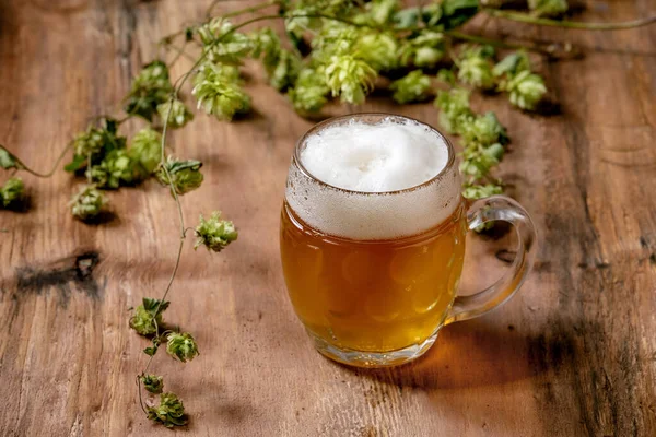 Klassischer Glasbecher Mit Frisch Kaltem Schäumendem Lagerbier Mit Grünen Hopfenzapfen — Stockfoto