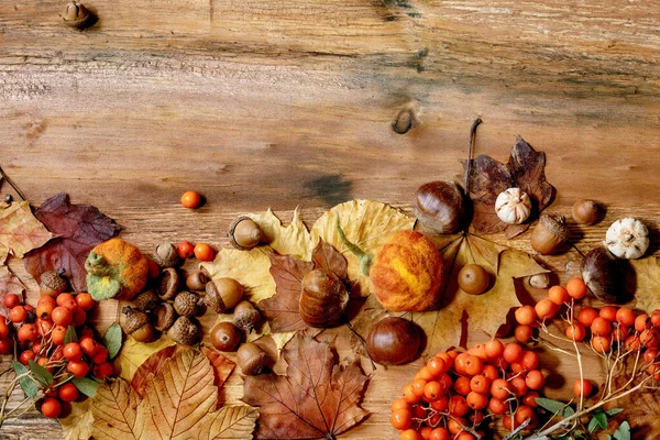 Herbstliche Saisonale Komposition Mit Gelben Ahornblättern Vogelbeeren Kastanien Und Dekorativen — Stockfoto