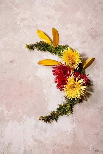 美しい秋の植物の花輪の組成は ベージュのコンクリートの背景に花 苔と黄色の秋の葉で創造的なレイアウト コピースペース — ストック写真