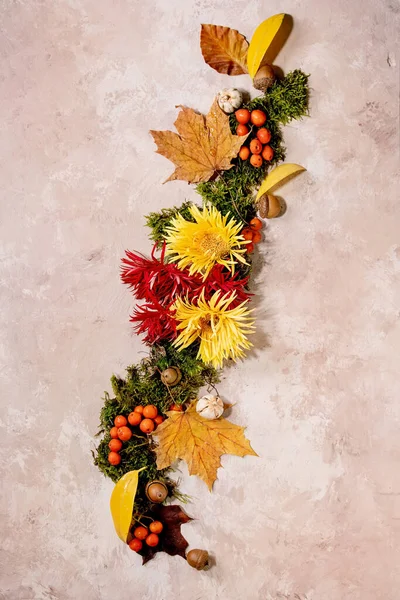 Bella Composizione Botanica Autunnale Layout Creativo Con Fiori Muschio Foglie — Foto Stock