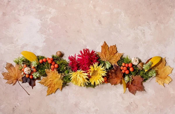 Bella Composizione Botanica Autunnale Layout Creativo Con Fiori Muschio Foglie — Foto Stock