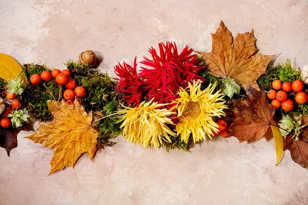 Schöne Herbst Botanische Komposition Kreative Gestaltung Mit Blumen Moos Und — Stockfoto