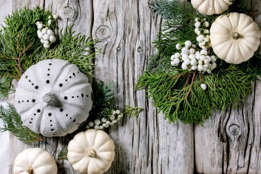 Beyaz dekoratif balkabaklarıyla bayram dekorasyonu, balkabakları, thuja dalları, eski ahşap arka planda böğürtlenler. Düz yat, boşluğu kopyala