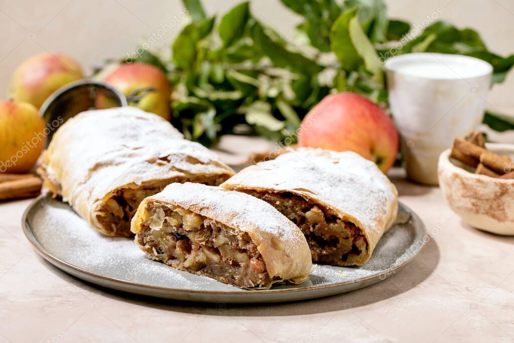 Homemade sliced classic apple strudel with icing sugar on ceramic plate with fresh apples, green leaves and cinnamon sticks above.