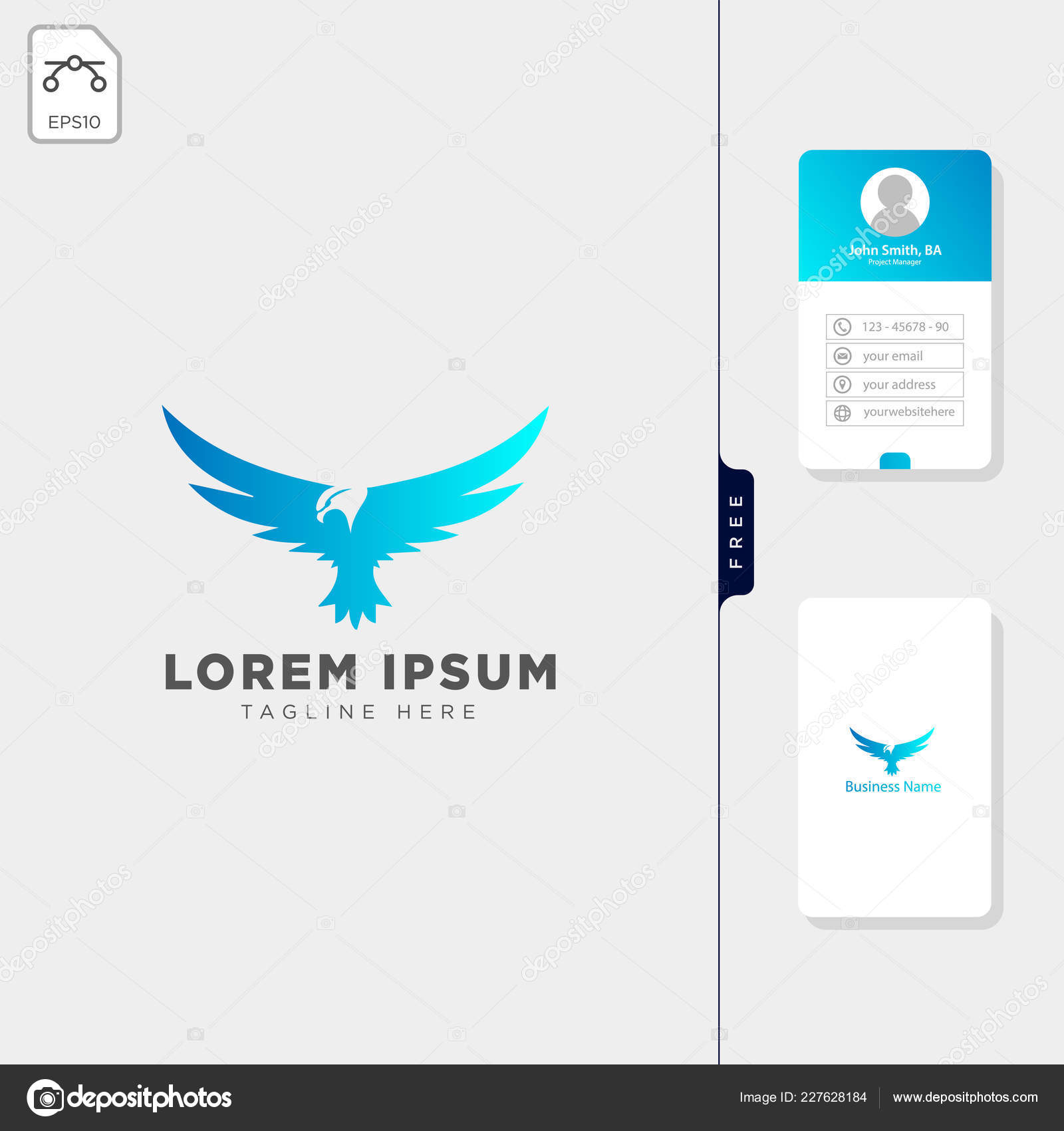 Faucon Vol Illustration Vecteur Modèle Logo Oiseau Modèle