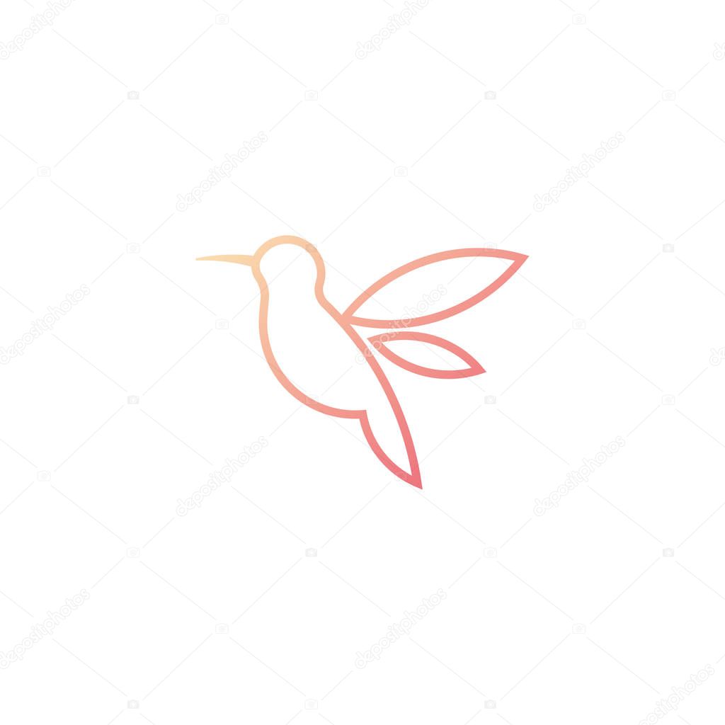 humming bird logo design template vector illustration icon element