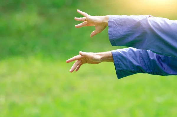 Detalhe Posições Mão Uma Prática Tai Chi Chuan Exterior — Fotografia de Stock