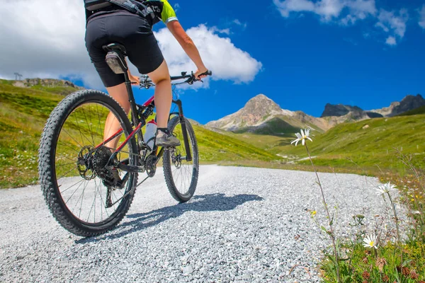 Fleur Marguerite Côté Une Route Montagne Avec Cycliste Passant Vélo — Photo