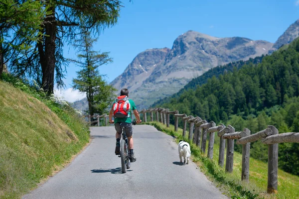 Homme Vtt Sur Route Montagne Compagnie Son Chien — Photo