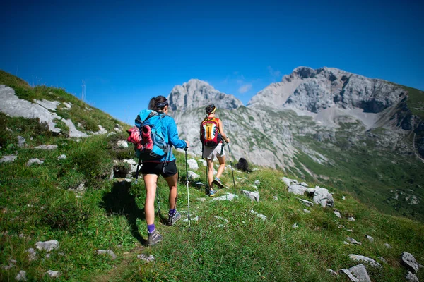 Trekking Dos Compañeros Trabajo Trabajando Las Montañas Día Libre — Foto de Stock